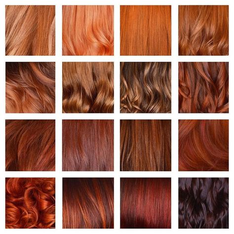 Wella Education on Instagram: “Client: I want to be a #redhead. Us: Define "red." #Hairdressers, how do you determine the right red for your clients? We left our…” Balayage Auburn, Auburn Balayage, Shades Of Red Hair, Brown Curls, Kadeřnické Trendy, Colored Hair Tips, Dark Auburn, G Hair, Ginger Hair Color