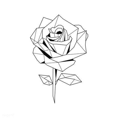 Linear illustration of a rose flower | premium image by rawpixel.com / poyd Geometric Flower Drawing, Linear Illustration, Rose Outline, Linear Art, Flower Geometric, Geometric Rose, Polygon Art, Flowers Drawing, Geometric Tattoo Design