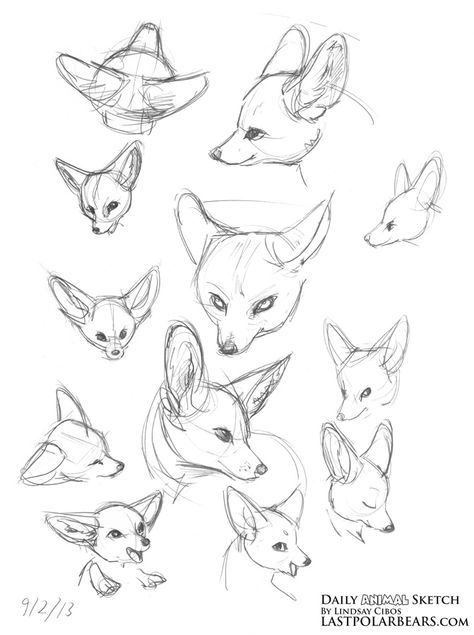 Daily_Animal_Sketch_172                                                                                                                                                                                 More Silhouette Chat, Polar Bear Drawing, Fox Sketch, Bear Sketch, Animal Sketch, Fox Drawing, Nature Sketch, Fennec Fox, Animal Study