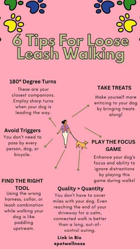 Training Dog To Walk On Leash, Loose Leash Walking, Dog Training Equipment, Reactive Dog, Notes Ideas, Leash Training, Dog Tips, Pet Hacks, Lead The Way