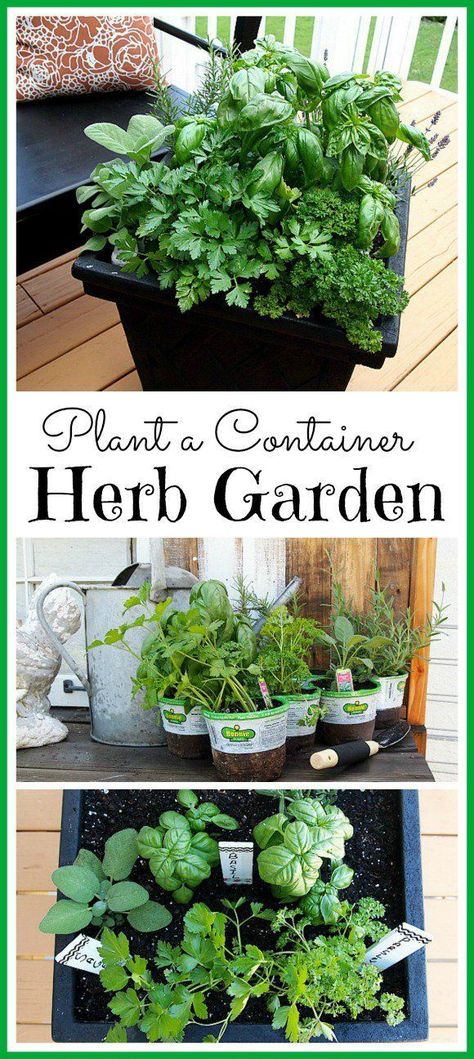 Kebun Herbal, Container Herb Garden, Herb Containers, Vertical Herb Garden, Herbs Indoors, The Secret Garden, Landscaping Tips, Deck Garden, Growing Herbs