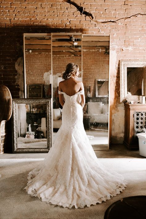 Classic Lace Wedding Dress, Lace Bride, Brides Wedding Dress, Studio Lighting, Lace Wedding Dress, Mermaid Dresses, Lace Back, Bride Wedding, Lace Overlay