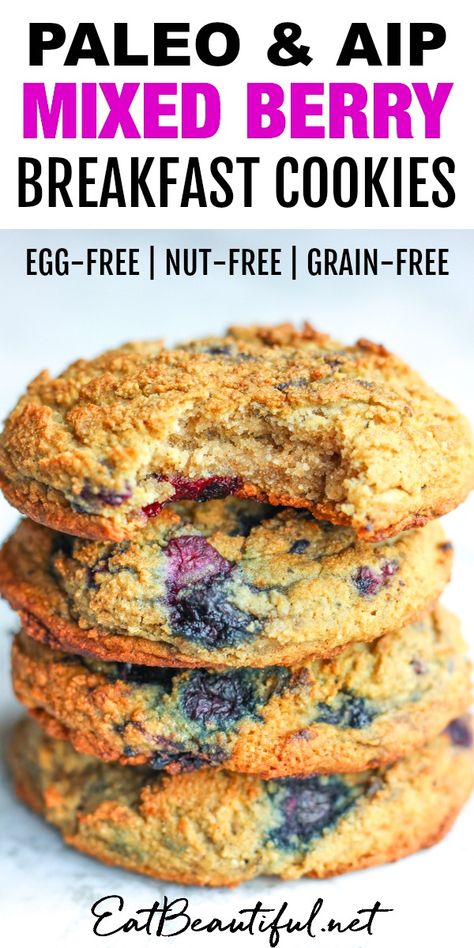 Aip Breakfast Bars, Aip Paleo Breakfast Recipes, Aip Blackberry Recipes, Aip Snacks Easy, Aip Snacks On The Go, Paleo Party Snacks, Aip Breakfast Recipes Easy, Aip Lunch Ideas, Api Diet