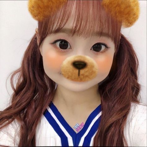 Chuu Dog Filter, Chuu Bear Filter, Kpop Bear Filter, Chuu Core, Chuu Pfp, Chuu Loona Icon, Chuu Cute, Chuu Icons, Loona Icon