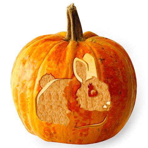 Munchkin Pumpkin, Rabbit Pumpkin, Owl Pumpkin Carving, Bunny Pumpkin, Animal Pumpkin, Halloween Rabbit, Printable Pumpkin Stencils, Pumpkin Carving Stencils Free, Pumpkin Stencils Free