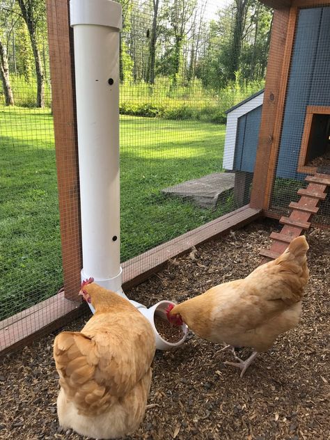 Homemade Chicken Feeder, Food For Chickens, Chicken Feeder Diy, Backyard Chicken Coop Plans, Chicken Feeders, Chicken Coop Run, Backyard Chicken Farming, Chicken Ideas, Chicken Eating