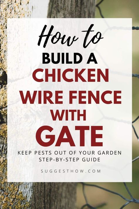 Chicken Wire Around Garden, Diy Chicken Wire Garden Fence, Chicken Wire Fence For Garden, Diy Fence With Chicken Wire, Chicken Fence Gate, Garden Fence With Chicken Wire, Wire Fence Gate Ideas, Chicken Wire Fencing, Diy Fences And Gates