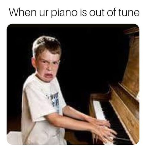 Piano Memes Funny, Pianist Memes, Piano Memes, Piano Funny, Musician Memes, Boy Meme, Band Jokes, Music Tutorials, Music Jokes