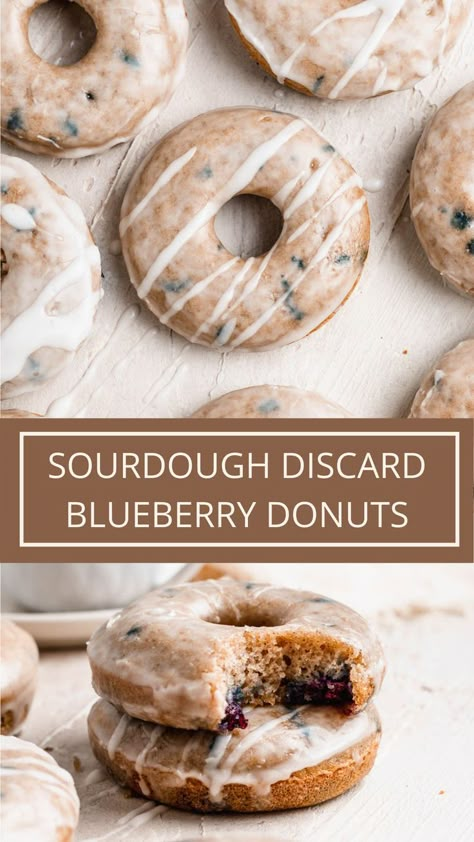 sourdough discard blueberry donuts Blueberry Recipes Sourdough, Discard Blueberry Bagels, Sour Dough Doughnut Recipe, Sourdough Donuts Farmhouse On Boone, Homemade Grab And Go Breakfast, Sourdough Mini Donut Recipe, Sourdough Cannoli, Sourdough Discard Blueberry Bagels, Sourdough Blueberry Cobbler