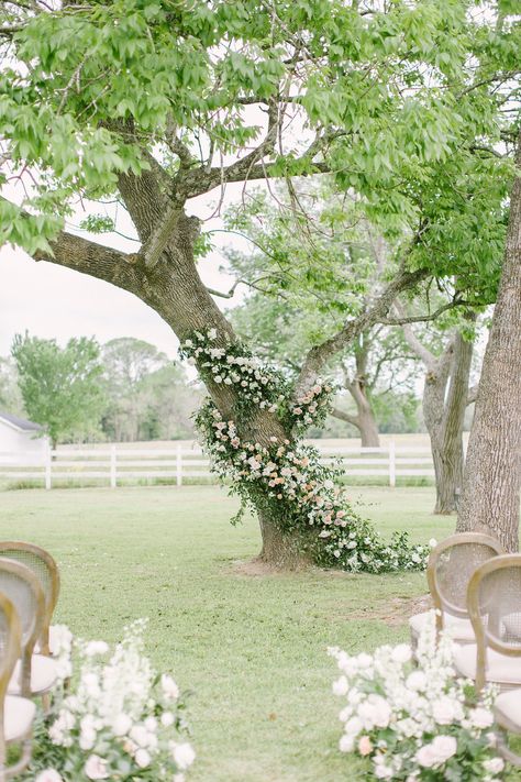 Tree Background Wedding Ceremony, Wedding Ceremony Tree Florals, Floral Wedding Tree, Wedding Tree Flowers, Flowers On Tree Wedding, Tree Floral Installation, Ceremony Tree Decor, Tree Flowers Wedding, Tree Wedding Arch