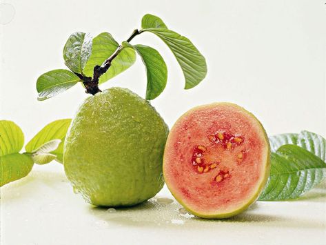 Buah jambu biji merupakan salah satu buah yang enak rasanya dan praktis dimakan. Buah ini tentunya menjadi favorit banya keluarga untuk dihidangkan setiap harinya di tempat tinggal mereka. Guava Health Benefits, Jambu Batu, Buah Jambu, Jambu Biji, Guava Benefits, Buah Naga, Guava Fruit, Guava Leaves, Guavas