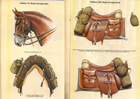 Saddle Bags Horse, Horse Inspiration, Horse Gear, Horse Aesthetic, Most Beautiful Animals, Military Photos, Western Saddle, Military Gear, Horse Saddles