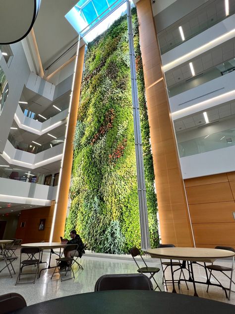 Drexel 10 Eco Office, Living Green Walls, Green Building Design, Building Green, Interior Landscape, Strip Mall, Vertical Gardens, Garden Grove, Sun Nature