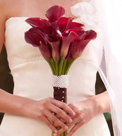 My Photo Album Wedding Flowers Photos on WeddingWire Lily Wedding Flowers, Calla Lily Wedding Flowers, Maroon Flowers, Simple Bouquet, Wedding App, Soft Wedding, Calla Lily Wedding, Calla Lily Bouquet, Wedding Apps