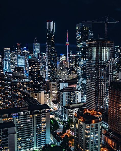 The Best of Toronto on Instagram: “Those beautiful and bright-lit Toronto nights 😍🌟⁠ 📸: @yzlinnn” Uglies Book, Bright Lights, New York Skyline, Skyscraper, Times Square, Toronto, Good Things, Building, Travel