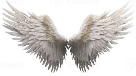 Realistic Style Angel's Wings No Background Perfect for Photograph Backdrop Ai Generated Angel Wings Realistic, No Background, Reference Poses, Anime Angel, Shadowhunters, Art Reference Poses, Free Png, Angel Wings, Art Reference