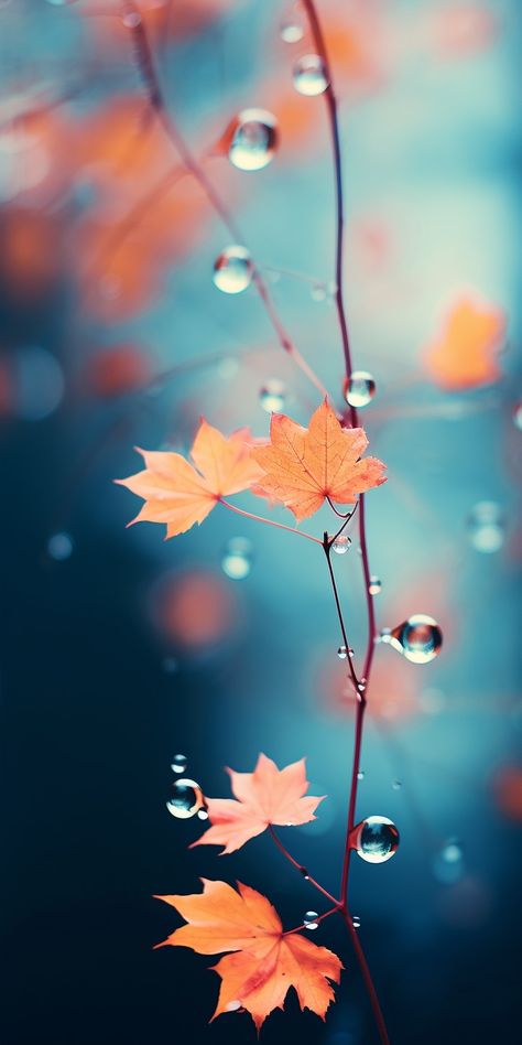 Nostalgia Wallpaper, Cozy Aesthetics, Wallpapers Halloween, Fall Scenes, Autumn Phone Wallpaper, Iphone Wallpaper Blur, Scenic Nature, Whimsical Patterns, Christmas Wallpaper Backgrounds