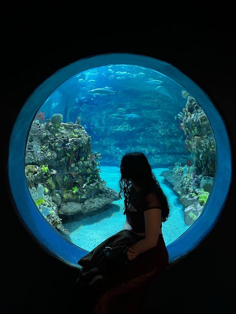 #aquarium #window #silhouette #tank #fishtank #fish #coral #reef #ocean #oceanlife #blue #circle #photography #photoshoot #photooftheday #pinterest #pinterestideas #pinterestgirl #aesthetic #aestheticstyle #aestheticphotos #urbanoutfitters #wavyhair #naturalhairstyles #filipino #filipina Circle Fish Tank, Aquarium Window, Aquarium Photoshoot, Circle Photography, Window Silhouette, Aquarium Pictures, Hoco Pics, Ocean Aquarium, Ocean Drawing