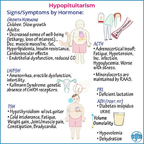 Endocrine Nursing, Kallmann Syndrome, Clinical Pathology, Endocrine Hormones, Anterior Pituitary, Neurological System, Nursing School Essential, Airway Management, Endocrine Disorders