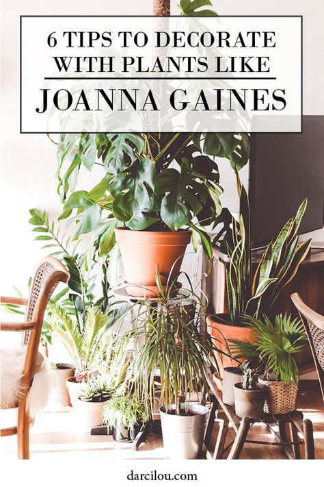 How to decorate with Plants like Joanna Gaines How To Decorate Your Home With Plants, Modern Home Decor With Plants, How To Decorate With Plants Living Room, How To Decorate With Faux Plants, Decorate Home With Plants, Decorating With Live Plants, Decorating With Faux Plants, How To Decorate With House Plants, Living Room Plants Decor Small Spaces