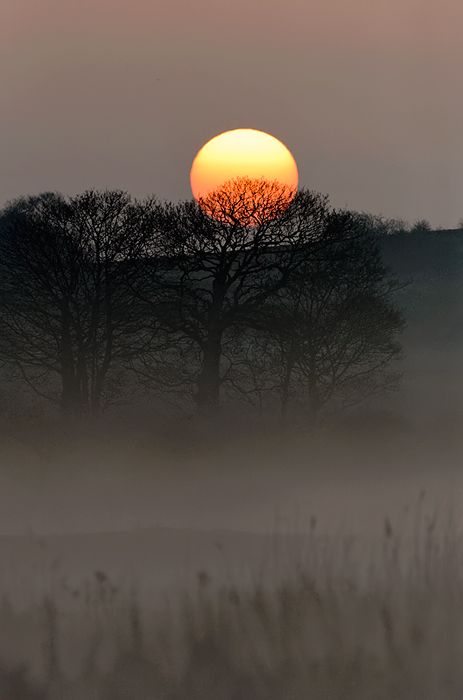 Dawn Dawn Images, Craig Jones, Photo Yoga, Wildlife Photographer, Moon Painting, Beautiful Moon, Nature Scenes, Great Pictures, Beautiful Photography