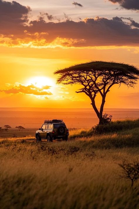 "Embark on an electric safari in Kenya! 🚙⚡ Experience wildlife conservation and adventure in a sustainable way. Explore the savannah with minimal impact and maximum excitement. 🦁🌿 #ElectricSafari #Kenya #EcoFriendlyTravel" Kenya Safari, Eco Friendly Travel, Wildlife Conservation, Savannah, Kenya, Savannah Chat, Sustainability, Electricity, Eco Friendly