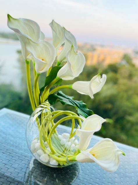 Stunning white Calla lilies centerpiece, made with Real Touch flowers in a 10 inch double open Glass vase.  calla lily/lilies, silk, floral arrangement, faux water, acrylic.  Dimensions:  Glass Vase 10 inch Diameter  Length including Flowers 14-16 inch Height : 16-18 inch Calla Lily Centerpieces, Lily Centerpieces, White Calla Lilies, White Calla Lily, Stargazer Lily, Faux Floral Arrangement, Orchid Arrangements, Real Touch Flowers, White Orchids