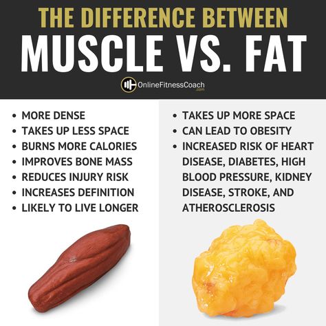 Muscle vs. Fat Muscle Vs Fat Pictures Perspective, Same Weight Fat Vs Muscle, Corinne Crabtree, Fat Vs Muscle, One Pound Of Fat, Fitness Memes, Online Fitness Coaching, Online Fitness, Pound Of Fat