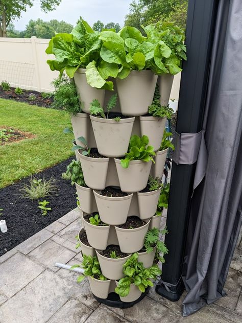 Vertical Garden Planter Ideas, Vertical Planters Outdoor, Diy Vertical Vegetable Garden, Stacked Planter Ideas, Stackable Planters Ideas, Vertical Food Garden, Stackable Garden Planters, Green Stalk Vertical Garden Ideas, Diy Stackable Planters