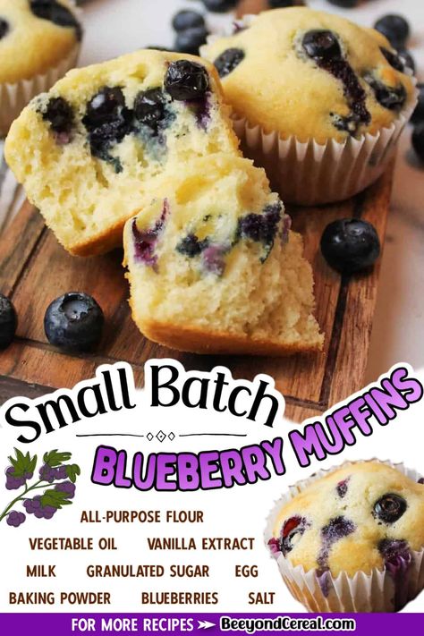 Blueberry Muffin For One, Small Batch Quick Bread, Small Batch Strawberry Muffins, Small Batch Muffins Breakfast, Small Batch Mini Muffins, Small Batch Breakfast Recipes, Small Batch Muffin Recipe, Blueberry Muffins Small Batch, Small Batch Muffins