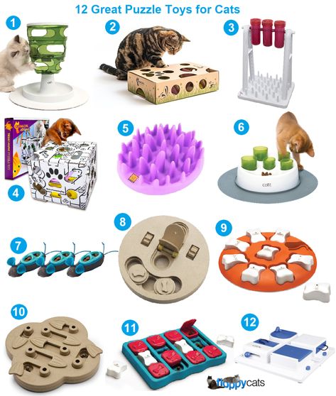 Puzzle Toys for Cats | Cat Games | Cat Interactive Toys Cat Puzzle Toys, Diy Cat Puzzles, Cat Games For Cats, Pet Games, Cat Enrichment, Cat Games, Cat Supplies List, Pets Stuff, Best Treats