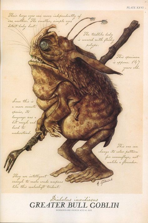 This is a Greater Bull Goblin | Goblins (Family: Adentidae) | Sometimes Sprites are called Faeries, even though we all know the term "Faerie" can be used to designate creatures like Trolls, Giants and Kelpies as well. Mystical Creatures Mythology, Tony Diterlizzi, Magic Creatures, Spiderwick Chronicles, Creaturi Mitice, Egiptul Antic, Kunst Inspiration, Green Goblin, Forest Creatures