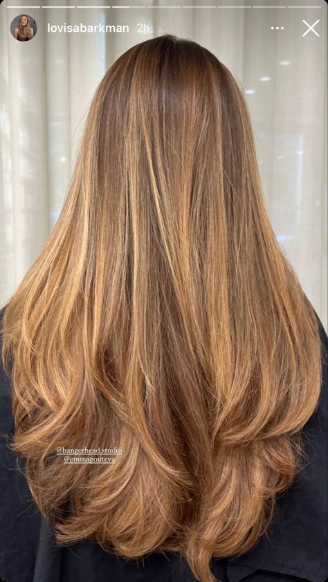 Strawberry Brown Hair, Friends First, Butterfly Cut, Honey Brown Hair, Brunette Hair With Highlights, Brown Hair With Blonde Highlights, Honey Blonde Hair, Strawberry Blonde Hair, Dark Blonde Hair