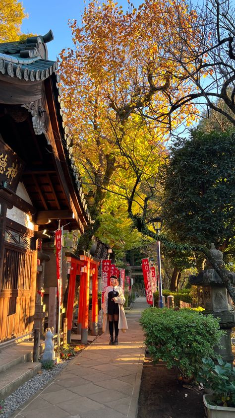 autumn in tokyo⛩️ Japan Autumn Aesthetic, Fall In Japan, Tokyo Autumn, Japan Moodboard, Japan Park, Japan Living, Summer In Japan, Japan Autumn, Tokyo Aesthetic