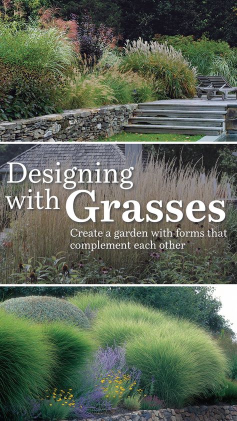 Garden With Grasses, Ornamental Grass Landscape, Landscaping Simple, Grasses Landscaping, Grasses Garden, Rock Garden Landscaping, Pampas Gras, Garden Landscape Design, Landscaping Design