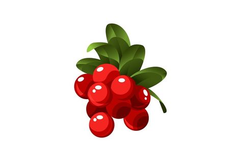 Hand drawn branch lingonberry berries with leaves. Fresh summer berries. Fruit botany cartoon vector illustration. Fresh organic food. Summer Berries, Fresh Summer, Organic Food, Organic Recipes, Botany, Hand Drawn, Vector Illustration, How To Draw Hands, Mario Characters