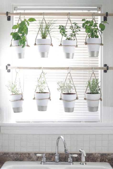 Indoor Herb Garden Diy, Window Herb Garden, Hanging Herb Garden, Hanging Herbs, Herb Garden In Kitchen, Jardim Diy, Diy Herb Garden, Herb Garden Design, Easy Budget