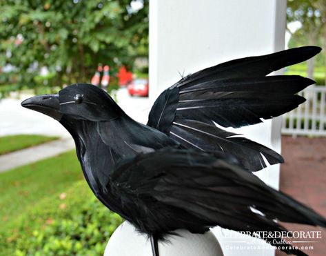 Halloween Front Porch Decoration with Black Crows Crows For Halloween, Diy Crow Decoration, Black Crow Halloween Decor, Diy Crow Halloween Decorations, Halloween Crows Decorations, Diy Crows Halloween, Halloween Crow Decor, Crow Crafts, Halloween Crows