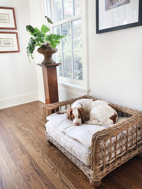 Puppy Bed Ideas, Round Dog Bed, Beautiful Puppies, Covered Dog Bed, Dog Quilts, Pillow Top Mattress, Unique Beds, Linen Quilt, Turned Wood