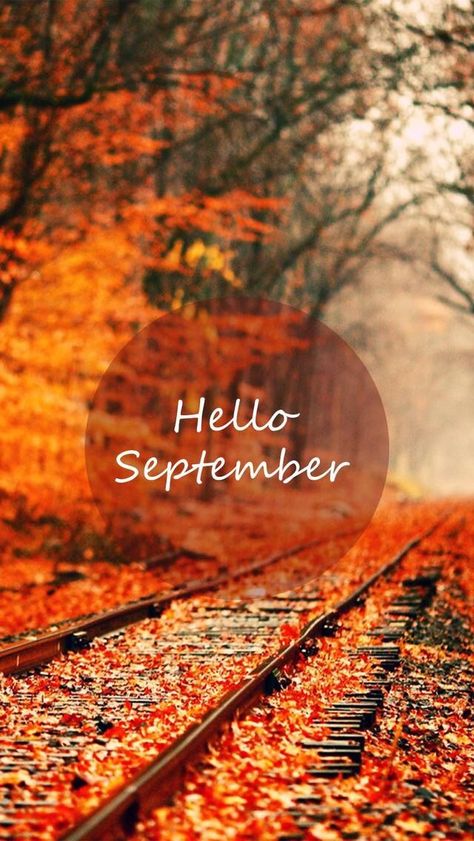 Wallpaper iPhone autumn #hello September ⚪️ | September wallpaper, Iphone wallpaper fall, Fall backgrounds iphone Hello September Images, September Images, January Wallpaper, September Wallpaper, Wallpaper Autumn, Fall Quotes, Autumn Orange, Hello September, Iphone Wallpaper Fall