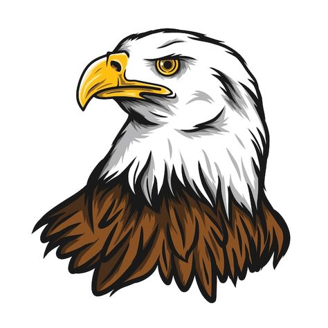 Bald Eagle Head Drawing, Egal Painting, Bald Eagle Drawing Easy, Eagle Face Drawing, Cute Eagle Drawing, Philippine Eagle Drawing, Falcon Cartoon, Eagle Head Drawing, Draw Eagle