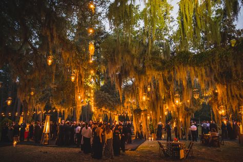 Spanish Moss Wedding, Bayou Wedding, Moss Wedding, Movies Art, Louisiana Wedding, Dream Wedding Decorations, Yosemite Wedding, Vogue Wedding, Rose Hill