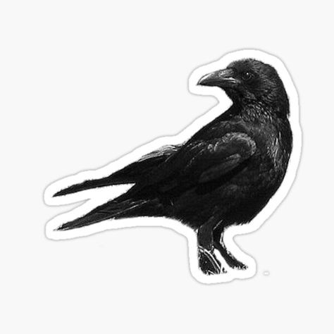 Crow Sticker, Altoids Wallet, Eagle Skull, Binding Covers, Good Luck Gifts, Selfie Photography, Black Crow, Black Stickers, Original Photography