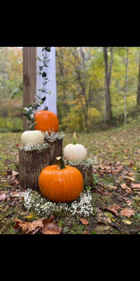 Fall Harvest Wedding Decor, Fall Outside Wedding Ideas Backyards, Simple Cheap Wedding Ideas Decoration Easy Diy, Sunflower Pumpkin Wedding, Cute Fall Wedding Ideas, Fall Wedding Ideas Simple, Backyard Fall Wedding Ideas On A Budget, Fall Field Wedding, Backyard Micro Wedding Fall