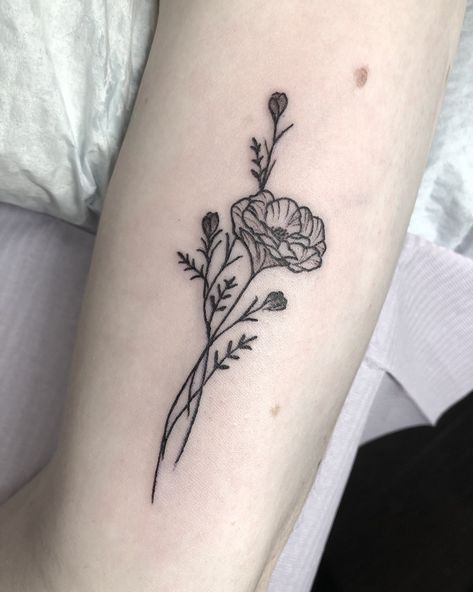 Primrose Tattoo Company on Twitter: "Wildflowers https://t.co/SNt3RxAL39" / Twitter Simple Poppy Tattoo, Poppy Tattoo Ideas, California Poppy Tattoo, Wildflowers Tattoo, Poppy Flower Tattoo, Simple Flower Tattoo, Poppy Tattoo, California Tattoo, Poppies Tattoo