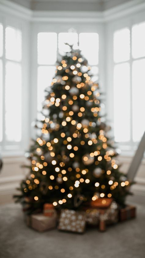 55+ Best Aesthetic Christmas Wallpaper Backgrounds | Just Jes Lyn Aesthetic Christmas, Christmas Wallpaper, Wallpaper Backgrounds, The Holiday, Christmas Tree, Wallpapers, Living Room, Iphone, Christmas