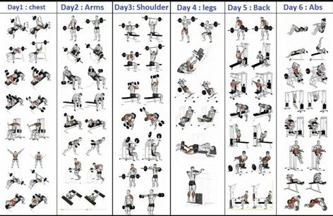 Gym Workout Schedule for Men Pdf | Gym workout plan pdf | Medicallyinfo Workout Schedule For Men, Gym Workout Schedule, 5 Day Workout Plan, 5 Day Workout Routine, 5 Day Workouts, Teen Workout Plan, Fitness Studio Training, Workout Plan For Men, Work Out Routines Gym