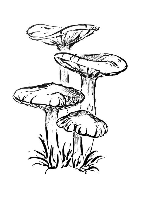 Sketchbook Art Inspiration Mushroom, Mushroom Art Reference, Mushroom Doodles Aesthetic, Botanical Mushroom Drawings, Ink Drawing Mushroom, Sketch Of Mushroom, Flat Mushroom Drawing, Cluster Of Mushrooms Drawing, Fairy Drawings Cute