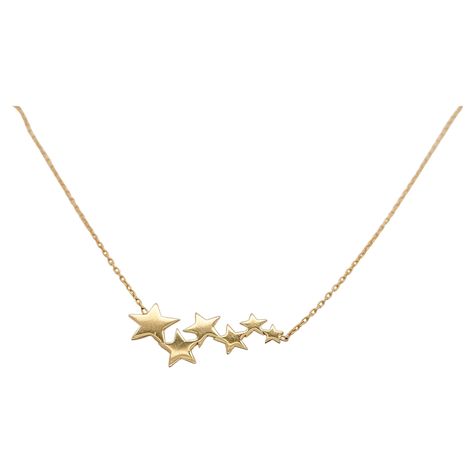 Tell her that she is the "star" of the show! Some women need to own their bright light and show the world that they are special and a star! The details for this beautiful necklace are listed below: Metal Quality: 14kt Yellow Gold Pendant Style: Attached Measurements of Pendant: 1 cm X 2.5 cm Chain Type: Cable Chain Length: Adjustable 16 in - 18 in Clasp: Lobster Clasp Chain Diameter: .9 mm Preppy Jewelry, Serena Van, Star Cluster, Luxe Jewelry, Cluster Necklace, Jewelry Essentials, Jewelry Lookbook, Star Jewelry, Cute Necklace