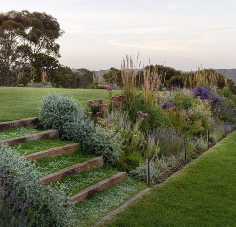 Slope Stairs, Sloped Backyard Landscaping, Sloped Backyard, Tiered Garden, Beautiful Weekend, Sloped Garden, Garden Drawing, Garden Steps, Have Inspiration